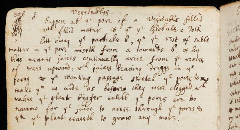 Illustration for article titled Notas inéditas de Newton revelan sus increíbles teorías sobre botánica